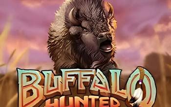 Buffalo Hunter